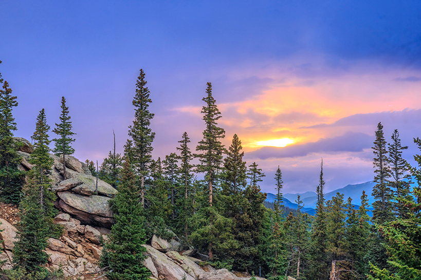 3 Cedars beard oil inspired by cedar-covered mountains at sunset